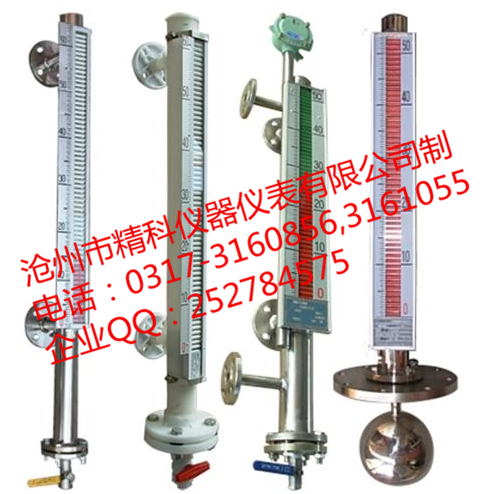 1645413338195868.png 磁翻轉(zhuǎn)雙色液位計(jì).png